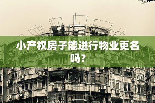小产权房子能进行物业更名吗？