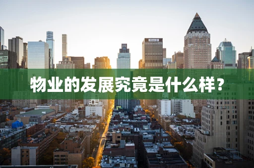 物业的发展究竟是什么样？