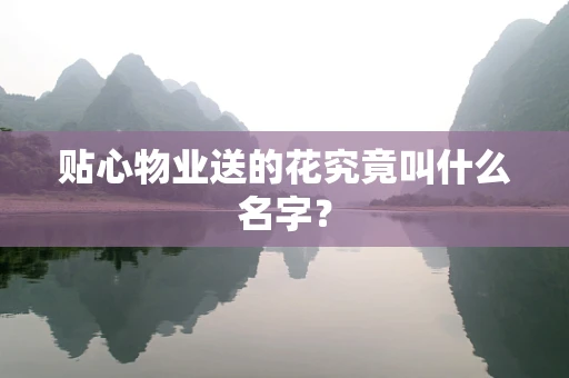 贴心物业送的花究竟叫什么名字？
