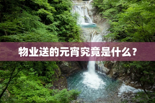 物业送的元宵究竟是什么？
