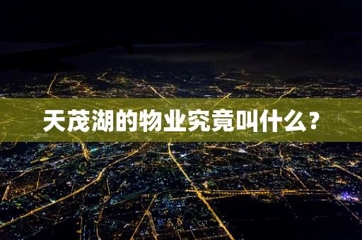 天茂湖的物业究竟叫什么？