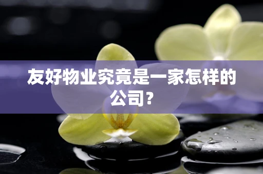 友好物业究竟是一家怎样的公司？