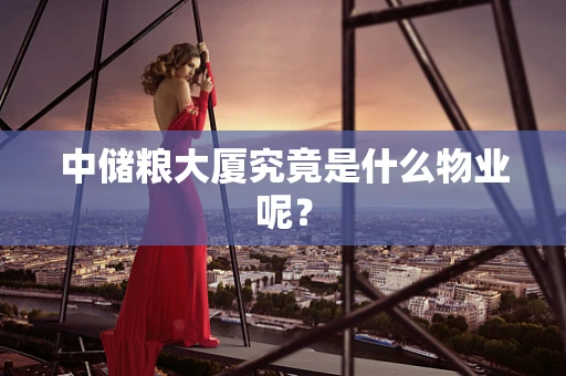 中储粮大厦究竟是什么物业呢？