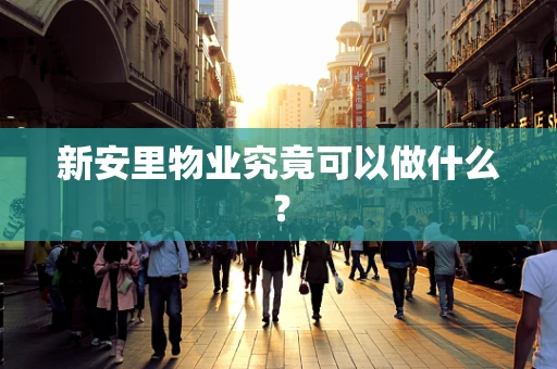 新安里物业究竟可以做什么？