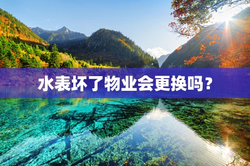 水表坏了物业会更换吗？