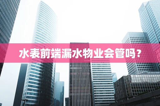 水表前端漏水物业会管吗？