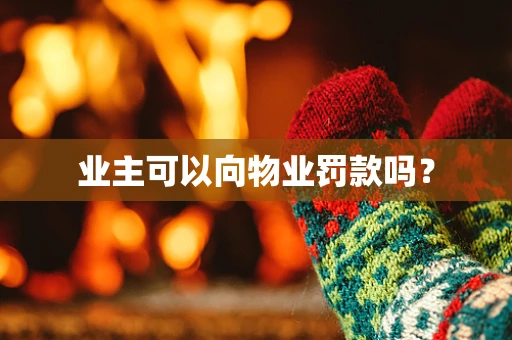 业主可以向物业罚款吗？