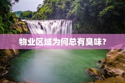 物业区域为何总有臭味？