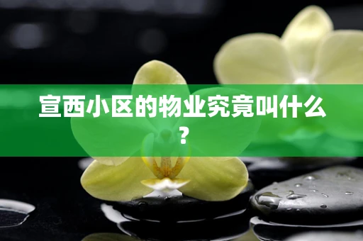 宣西小区的物业究竟叫什么？