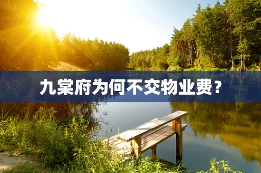 九棠府为何不交物业费？