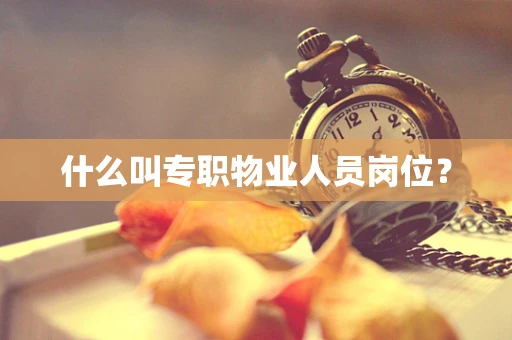 什么叫专职物业人员岗位？