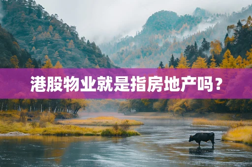 港股物业就是指房地产吗？