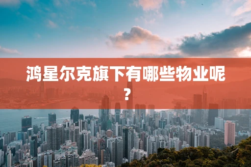 鸿星尔克旗下有哪些物业呢？