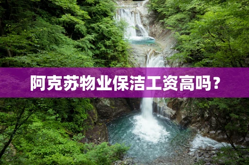 阿克苏物业保洁工资高吗？