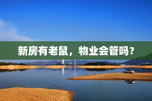 新房有老鼠，物业会管吗？