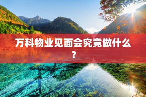 万科物业见面会究竟做什么？