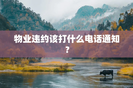物业违约该打什么电话通知？