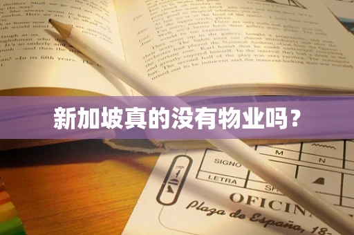 新加坡真的没有物业吗？
