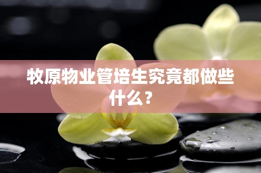 牧原物业管培生究竟都做些什么？