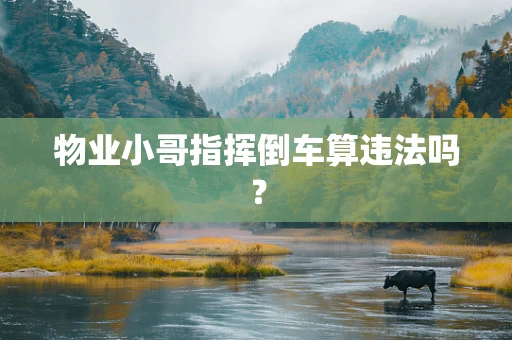 物业小哥指挥倒车算违法吗？