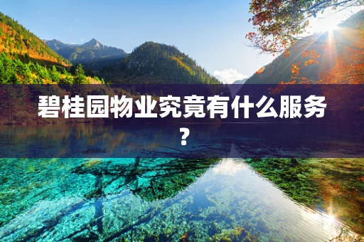 碧桂园物业究竟有什么服务？