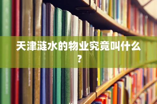 天津涟水的物业究竟叫什么？
