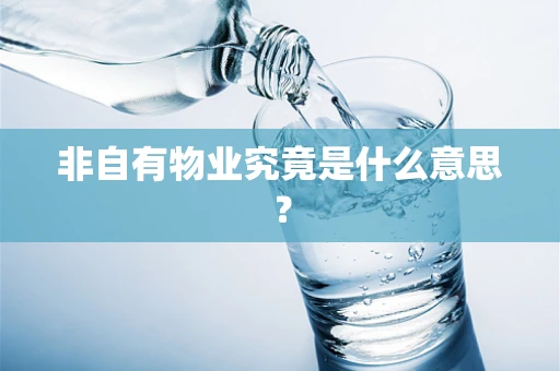 非自有物业究竟是什么意思？