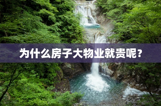 为什么房子大物业就贵呢？