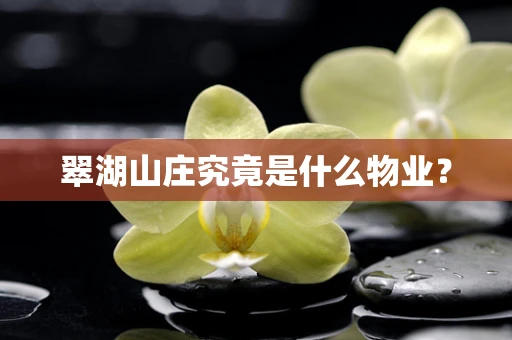 翠湖山庄究竟是什么物业？