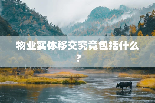 物业实体移交究竟包括什么？