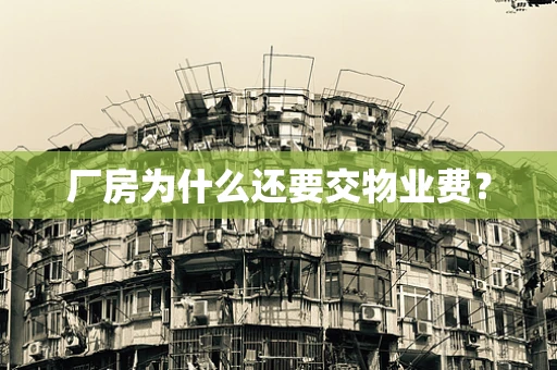 厂房为什么还要交物业费？