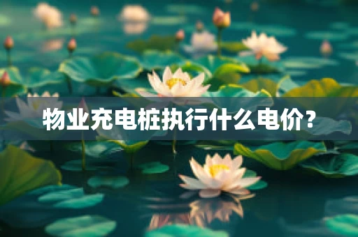 物业充电桩执行什么电价？