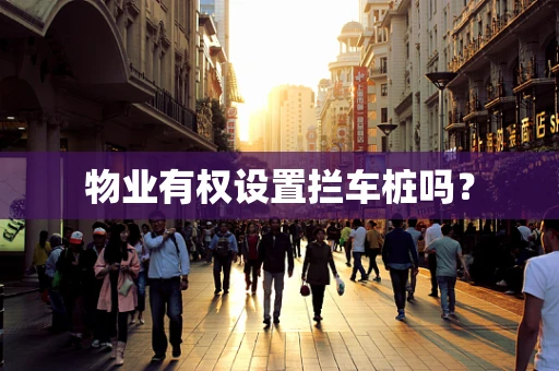 物业有权设置拦车桩吗？