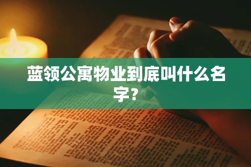 蓝领公寓物业到底叫什么名字？