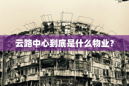 云路中心到底是什么物业？