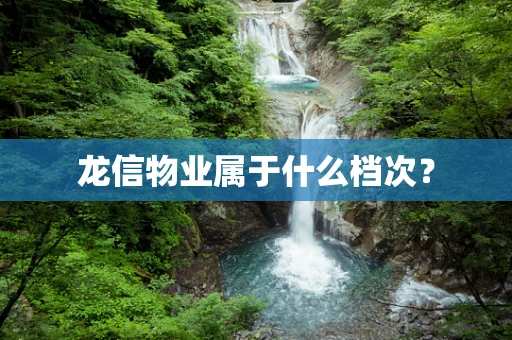 龙信物业属于什么档次？