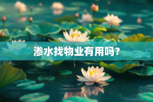 渗水找物业有用吗？