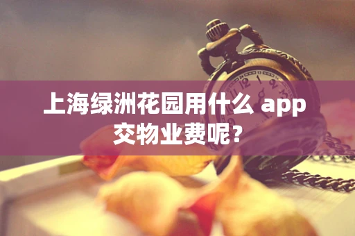 上海绿洲花园用什么 app 交物业费呢？