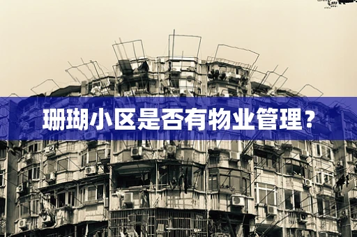 珊瑚小区是否有物业管理？