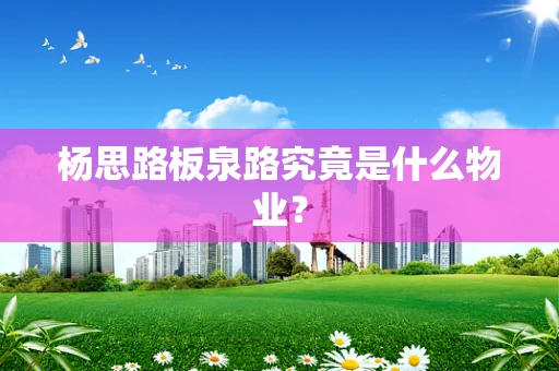杨思路板泉路究竟是什么物业？