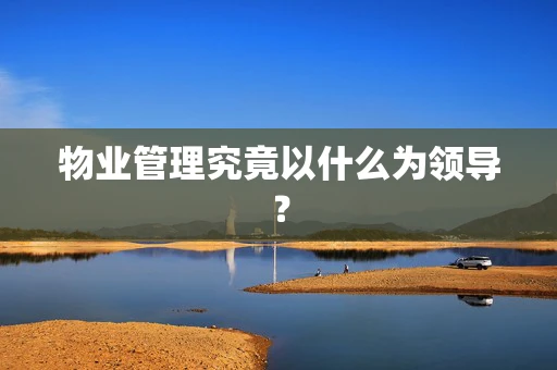 物业管理究竟以什么为领导？