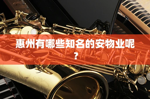 惠州有哪些知名的安物业呢？
