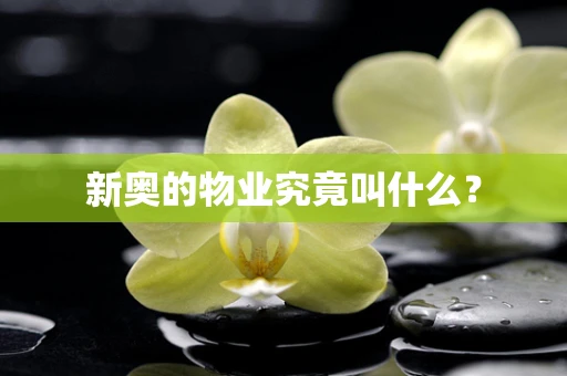 新奥的物业究竟叫什么？