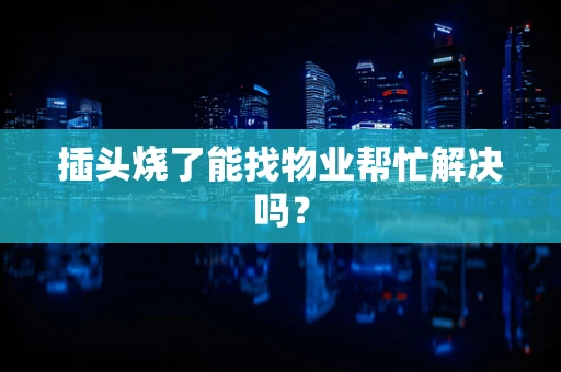 插头烧了能找物业帮忙解决吗？