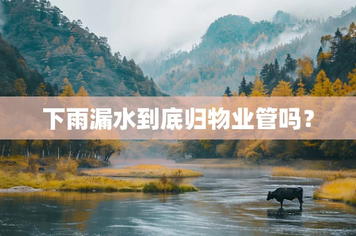 下雨漏水到底归物业管吗？