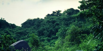 没物业国家允许吗？
