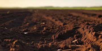 物业新地皮开荒究竟是什么？