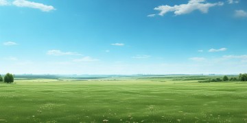 除了什么再无物业？