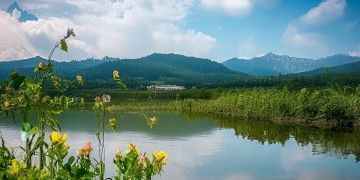 海棠溪物业平常真的管事吗？