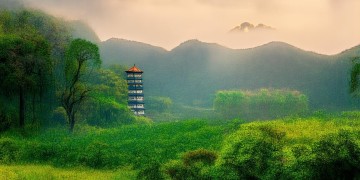南粤期货能涉足物业领域吗？